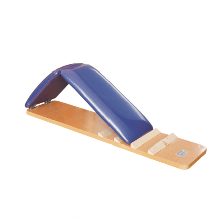quadriceps femoris board